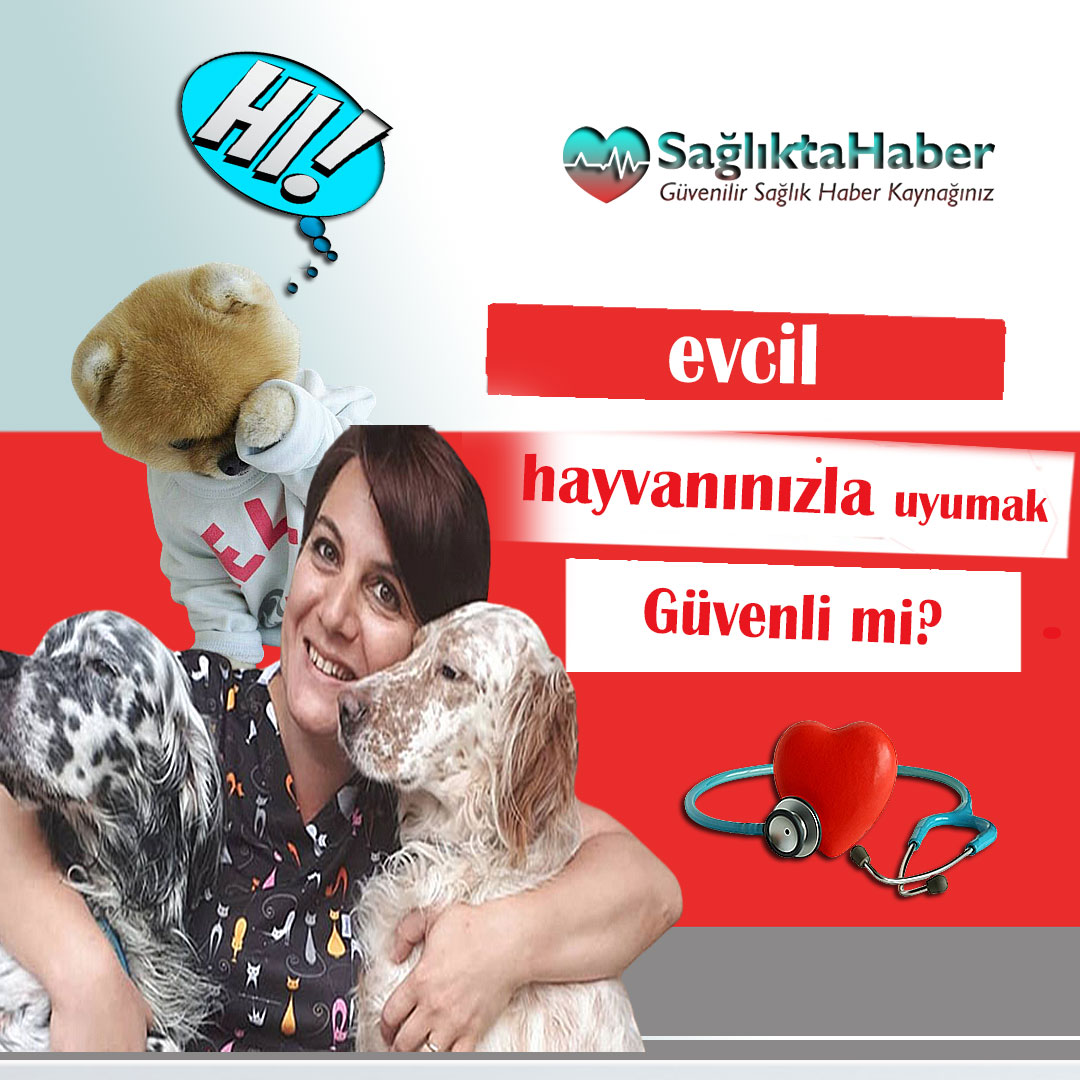 Evcil Hayvanınızla Uyumak Güvenli mi? Yoksa değil mi?