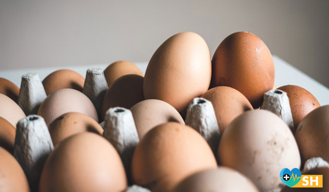 Karışık sebzeli omlet malzemeler