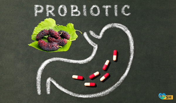 Probiyotikli Karadutlu Smoothie Tarifi