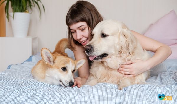 Keneler deri yüzeyinde kan ile beslenir