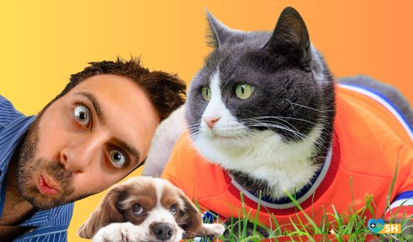 Evcil Hayvanınız İçin En Kritik Uzman Uyarıları