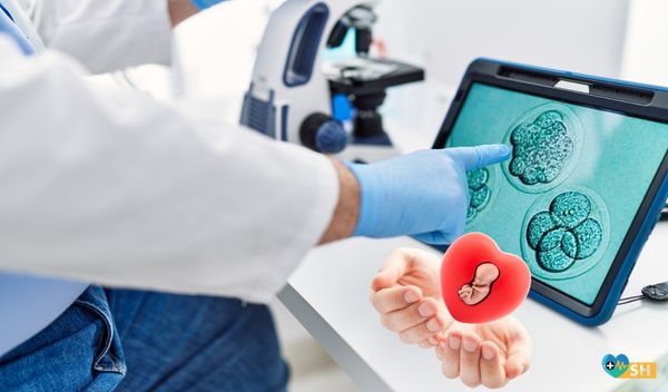 Japonya'dan Kök Hücreden İnsan Embriyosu Üretimine Onay