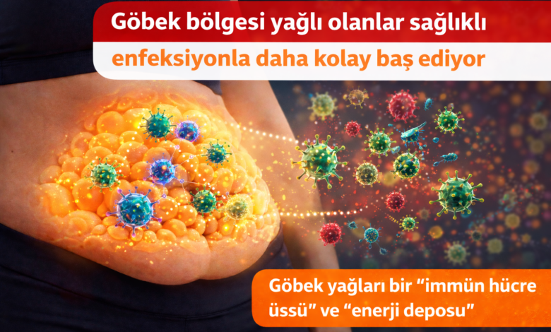 Göbek Yağı Sağlığımızı Koruyor, Nasıl mı
